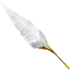 Pocket Shayari APK