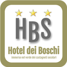 Hotel dei Boschi icône