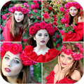 My Art Pics Photo Editor