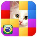 Adivinhação de Imagem APK