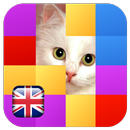 Guess 100 Pictures APK