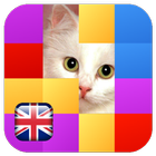 Guess 100 Pictures icono