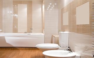 Bathroom Design الملصق