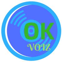 OK VOIZ スクリーンショット 1