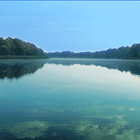 Fishing Life আইকন