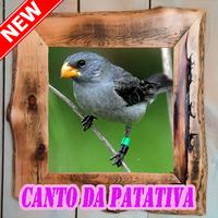Canto Da Patativa 2018 capture d'écran 3