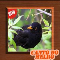 Cantos de Melro 2018 New Poster