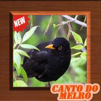 Cantos de Melro 2018 New plakat