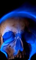 3D Blue Fire Skull Thème Fonds d'écran capture d'écran 2