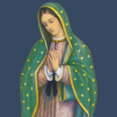 Our Lady of Guadalupe - NY APK