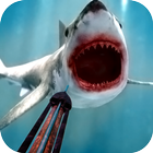 Fish Hunting Adventure - 3D Shark shooting icon