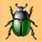 Insect Attack APK