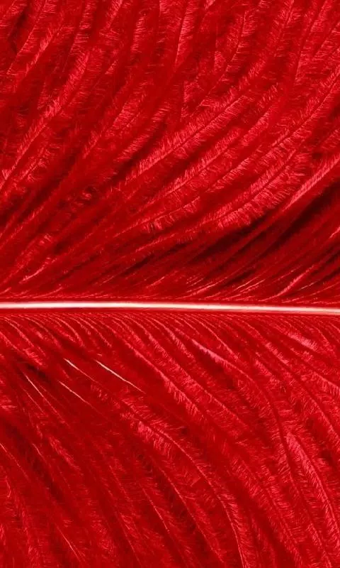 New HD Wallpapers For Xiaomi Redmi Note 4X APK pour Android Télécharger New HD Wallpapers For Xiaomi Redmi Note 4X APK pour Android Télécharger