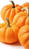 برنامه‌نما Pumpkin Food HD Theme Wallpapers عکس از صفحه