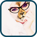 Face Swap - Free APK