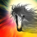 Horse Anime New Wallpapers Themes APK