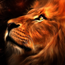 Lion Cute Anime New Wallpapers Themes APK