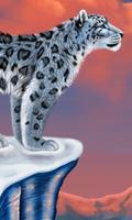 Snow Leopard Anime New Wallpapers Themes Affiche