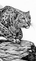 Snow Leopard Anime New Wallpapers Themes capture d'écran 1