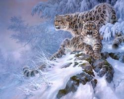 Snow Leopard Anime New Wallpapers Themes capture d'écran 3