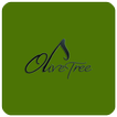 Olive Tree Music