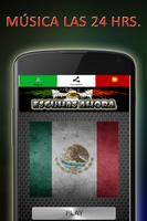Radios de Mexico imagem de tela 3
