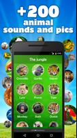 Animal Sounds & Images Free Affiche