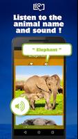 Animal Sounds & Images Free screenshot 1