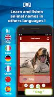 Animal Sounds & Pictures Free syot layar 1