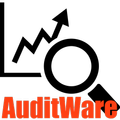 AuditWare Demo