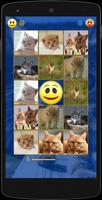 Kittens Memory Game captura de pantalla 1