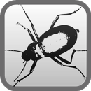 Metamorphosis by Franz Kafka APK