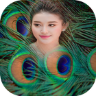 Peacock Feathers Photo Frame 图标