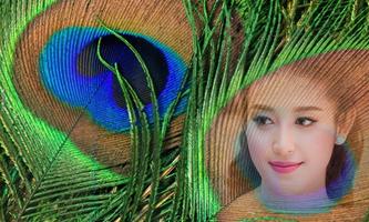 Peacock Feathers Photo Frame 海报