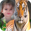 Tiger Photo Frame