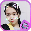 Cat Face Filters APK