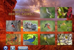 Arizona Birds Songs Affiche