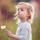 Baby Wallpapers icono