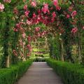 Gardens Wallpapers