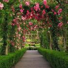 Gardens Wallpapers icon
