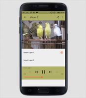 Suara Burung Kenari Loper Special Mp3 captura de pantalla 2