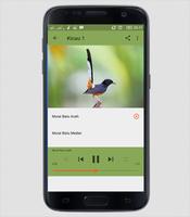 Suara Burung Murai Batu Special Mp3 screenshot 2