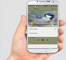 Suara Burung Gelatik Wingko Special Mp3 تصوير الشاشة 2
