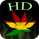 Hemp HD Wallpapers APK