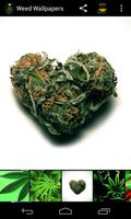 Weed HD Wallpapers स्क्रीनशॉट 2