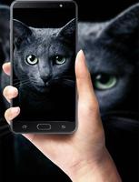 Gorgeous Pet Wallpaper Full HD 16:9 ポスター