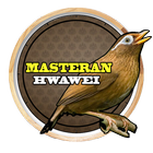 Masteran Kicau Hwamei 圖標