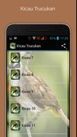 chirping Trucukan captura de pantalla 1