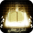 Murottal Al Quran 30 Juz audio APK