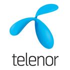 Telenor kalendar slagalica icône